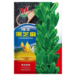 黑芝麻种子种籽农家高产白芝麻四季菜籽春秋季早熟可榨油庭院种孑