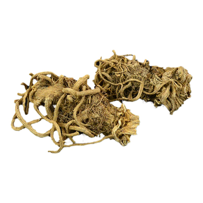 芹菜根中药材正品东北芹菜根草药