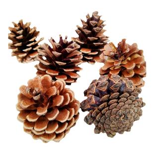 天然松果松塔圣诞装饰摆件幼儿园环创手工diy材料超大松果球干花