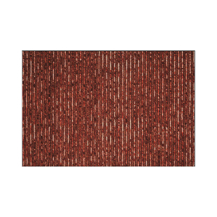 赛波斯经典时尚入户地毯进门垫中古轻奢高级地垫玄关脚垫防滑耐脏