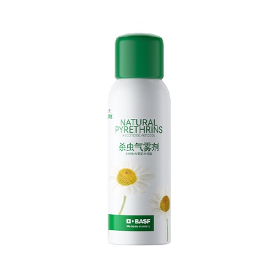巴斯夫除虫菊素杀虫气雾剂80ml