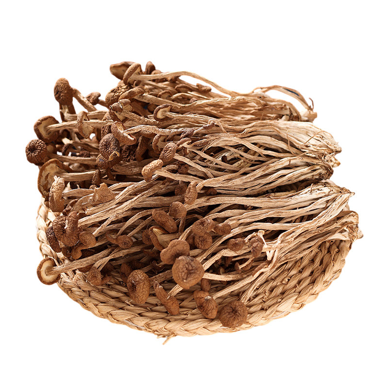 珊初物 茶树菇干货不开伞批发煲炖汤非特级鹿茸菇官方旗舰店500克