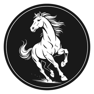 磁吸车载手机支架引磁片马年大吉贴片散热器卡扣吸盘粘贴式磁吸性出风口4/5/6/9cm厘米平板手机壳强力贴铁片