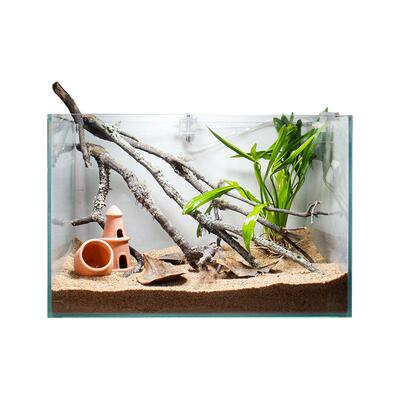 鱼缸造景全套沉木生态套餐黄梨枝