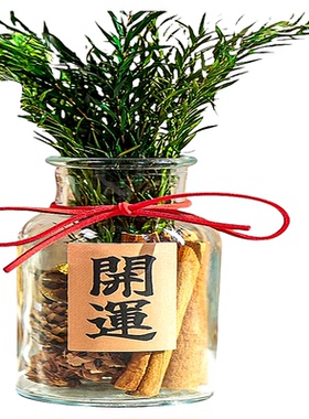 办公室肉桂生财招财摆件