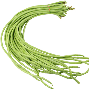 高产豇豆种子种籽子缸豆绿条长豆角春季蔬菜子菜江豆大全长豆种籽