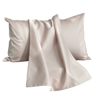 SIDANDA100支兰精天丝枕套夏季丝滑凉感亲肤枕头套纯色侧睡枕套