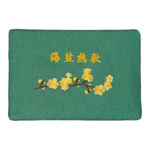 正品大粒纯海盐电加热电热盐袋粗盐热敷包袋艾灸艾草家用专用