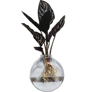 创意墙上壁挂花盆绿萝壁挂水培玻璃花瓶绿植餐厅简约墙面装饰挂件