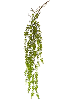 掬涵小叶垂吊藤蔓长条仿真植物