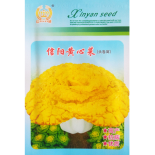 黄心乌塌菜种子种籽黑白菜野菜黑青菜春夏秋冬季种植四季农家盆栽