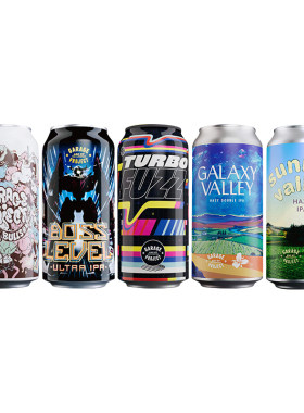 新西兰进口车库计划浑浊IPA
