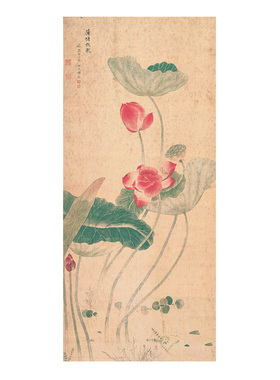 工笔画打印白描底稿荷花图白描稿本店拷贝实物打印初学者临摹练习
