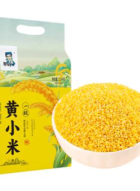 东北黄小米新米油丰富稠厚