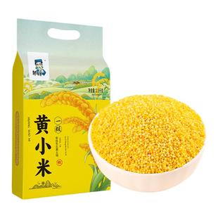 2025年新米东北黄小米优质五谷杂粮吃的小黄米大赤峰沁州粮食糯