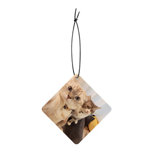 车载香片定制照片网红汽车香水片挂件车内香薰除异味装饰用品大全