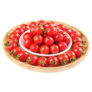 超甜千禧圣女果苗高产小番茄苗水果西红柿苗四季种阳台盆栽菜苗