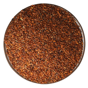 中药材丹参种籽野生特级参种子新鲜丹参种植苗草药当参黄芪新鲜苗