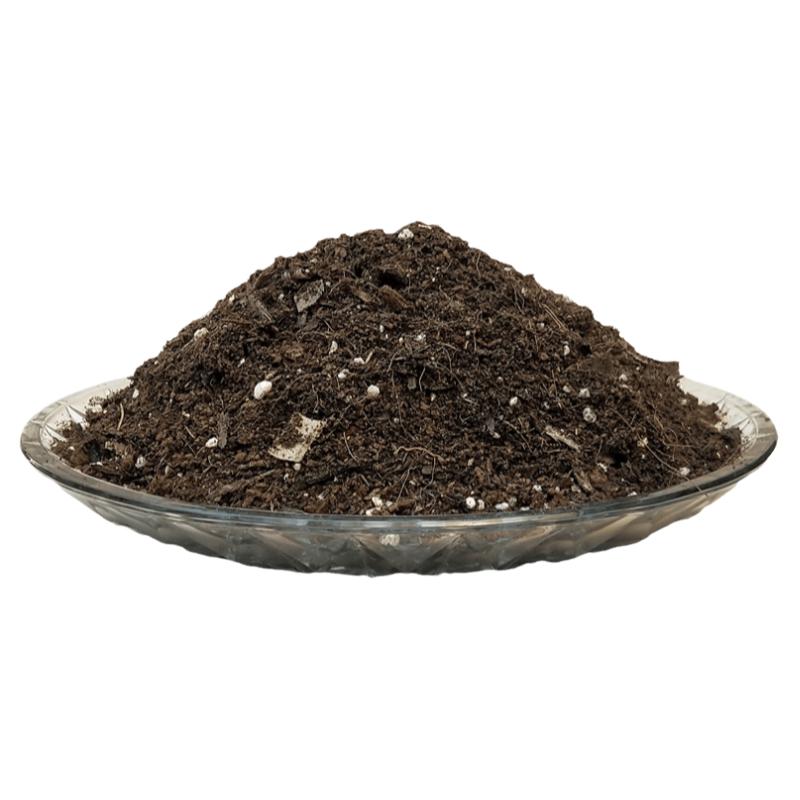 茉莉花专用营养花土家用室内盆栽绿植物育苗翻换透气种植椰砖土壤