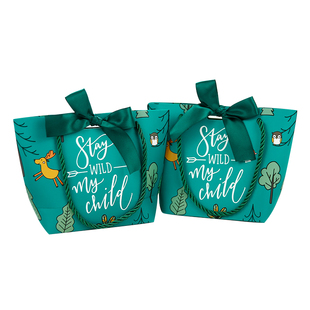 礼品袋子满月伴手礼盒空盒周岁宝宝生日回礼手提礼物卡通高档包装