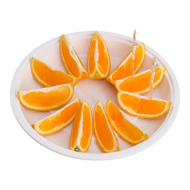 家用烧烤碟子派对装菜塑料蛋糕碟