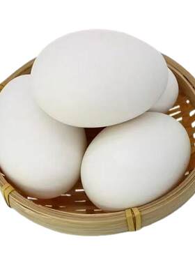 散养土鹅蛋新鲜孕妇宝宝营养健康