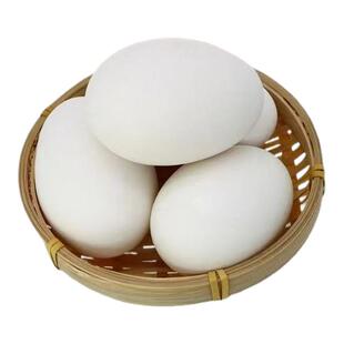 散养土鹅蛋新鲜孕妇宝宝营养健康天然土草蛋农村