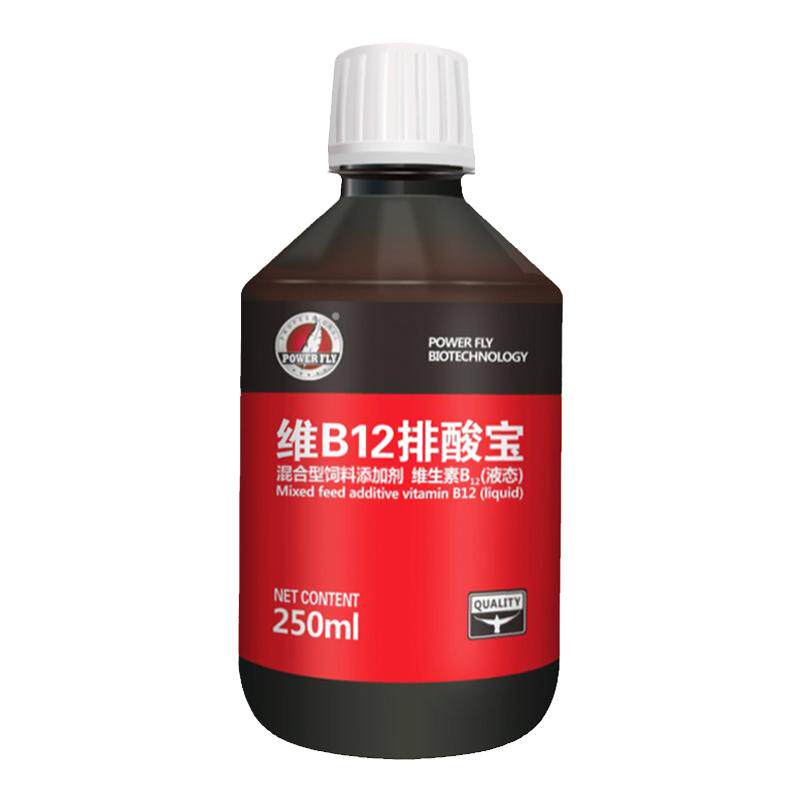 豪翔赛信鸽排乳酸防紫胸黑舌头