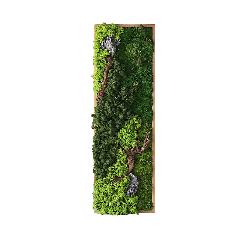 永生苔藓绿植壁挂饰立体植物墙绿植壁画高档墙面挂画桌面装饰摆件