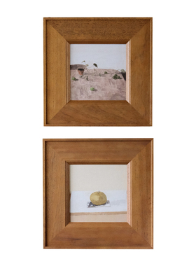 中古奶油风静物墙饰温柔植物挂画