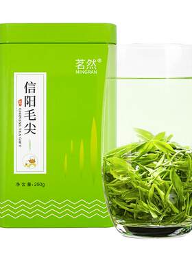 信阳毛尖绿茶嫩芽罐装
