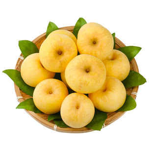 山东黄金维纳斯苹果新鲜水果脆甜现摘奶油糖心整箱当季应季