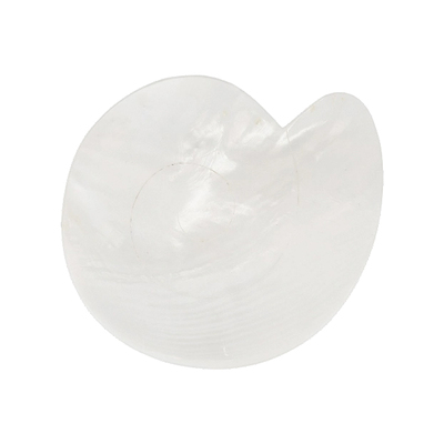Gohar World Mother Of Pearl Nautilus Dish 白色 REVOLVE小众新