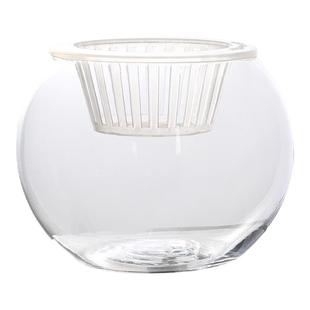 简约现代水培植物玻璃花瓶水养绿萝绿植插花器皿客厅桌面装饰摆件