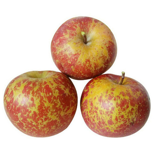 现摘云南昭通丑苹果冰糖心当季新鲜苹果脆甜孕妇水果丑苹果整箱