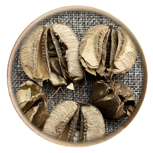 中药材 马兜铃 50g 可打粉 满包邮