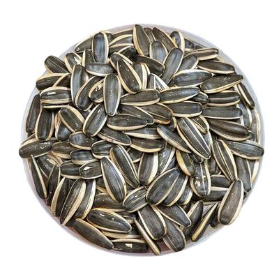 官方补贴！2025新货内蒙古葵瓜子