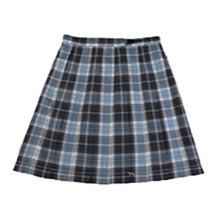 津野南TR JK制服心脏地震原创格裙百褶女学院风校供感A字短半身裙