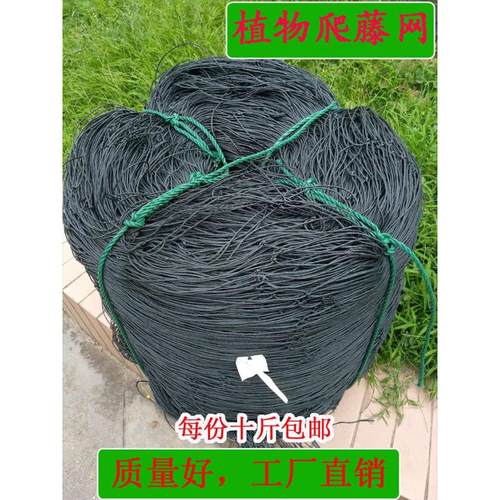 百香果专用爬藤网苦瓜罗汉果黄瓜丝瓜葡萄沃柑瓜果种植豆角蔬菜网
