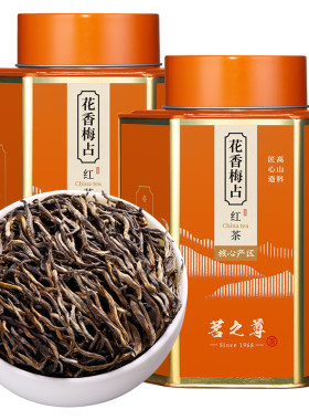 梅占金骏眉红茶特级浓香型茶叶