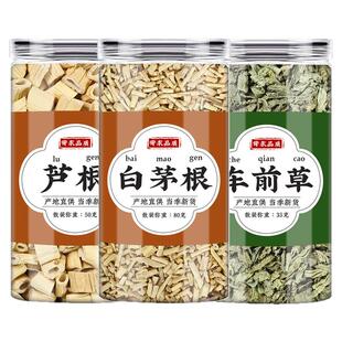 芦根白茅根车前草中药材正品新鲜干货的功效与作用芦根泡水煲汤喝