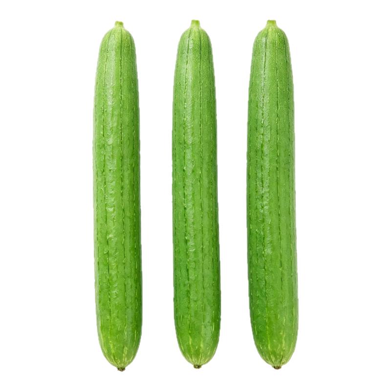 长丝瓜种子高产香丝瓜种籽春季夏季庭院种植菜种肉厚早熟蔬菜种孑