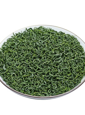 2026高山云雾绿茶新茶一级豆香栗香浓香耐泡松阳香茶春茶袋装炒青