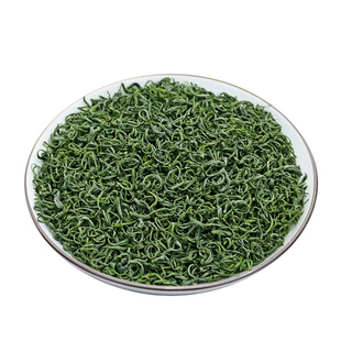 2025高山云雾绿茶新茶一级豆香栗香浓香耐泡松阳香茶春茶袋装炒青