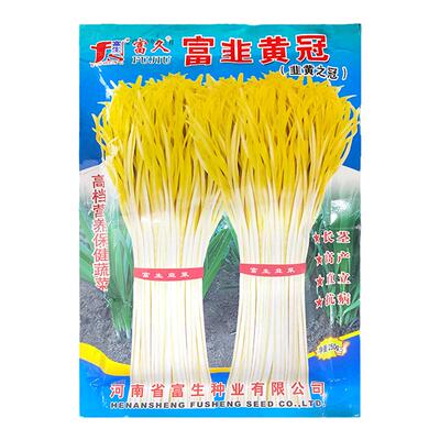 韭黄种子种籽黄韭蔬菜苗