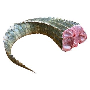 新鲜鳄鱼尾 现杀4斤鳄鱼尾巴养殖暹罗鳄肉正宗带皮鳄鱼生鲜肉食材
