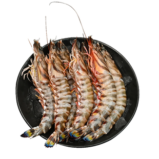 竹节虾舟山海鲜九节虾超大虾鲜活速冻基围虾水产黑虎虾生鲜斑节虾