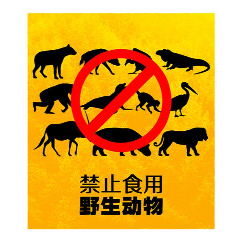 禁止野生动物拒绝条幅宣传海报