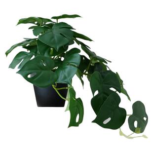 ins仿真绿植小盆栽摆件龟背叶彩芋叶办公桌客厅茶几假花仿生植物