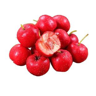 山楂鲜果新鲜孕妇水果大五菱现摘山里红小果甜红子野生小山楂